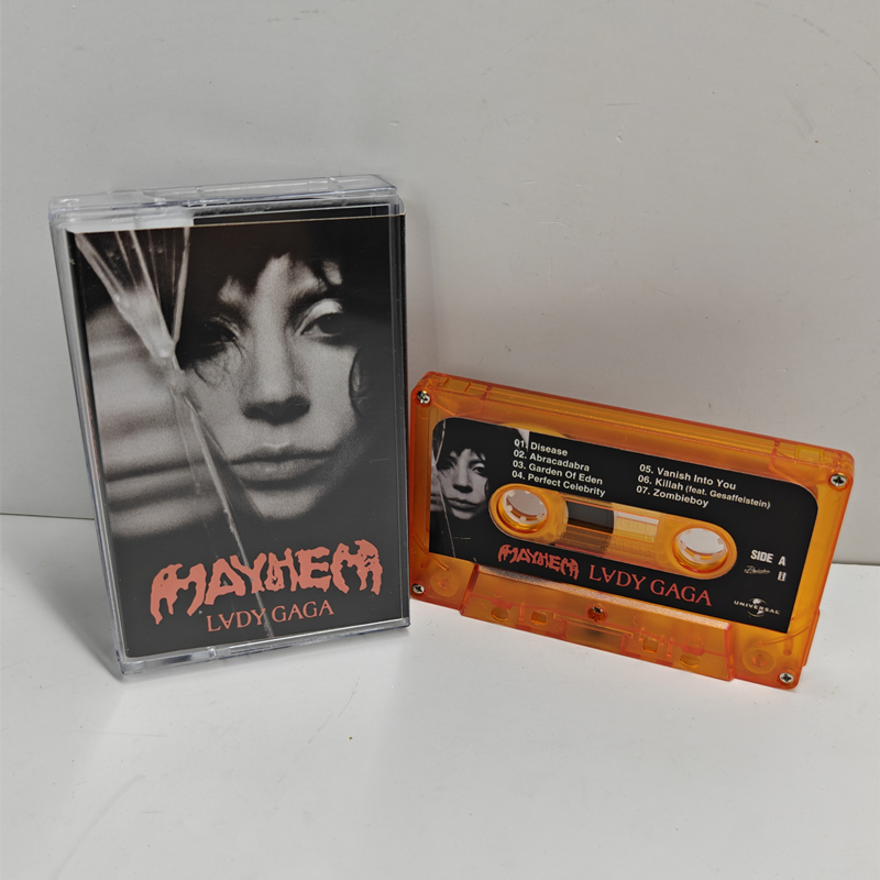New Pop Lady Gaga The Fame Mus - Audio Music Recorder recensie en prijs