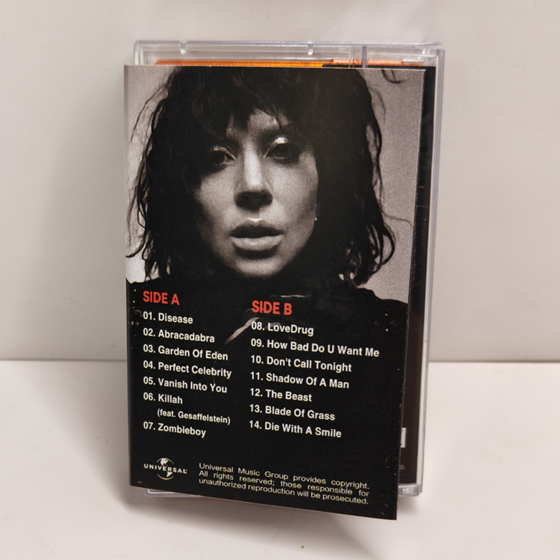 New Pop Lady Gaga The Fame Mus - Audio Music Recorder recensie en prijs