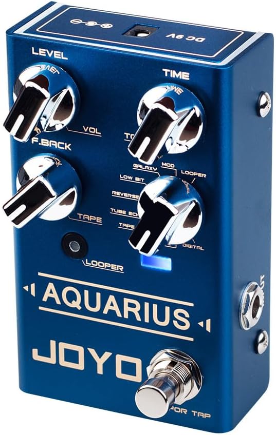 Multi Delay Pedal with Looper  - Looper Pedal Guitar recensie en prijs