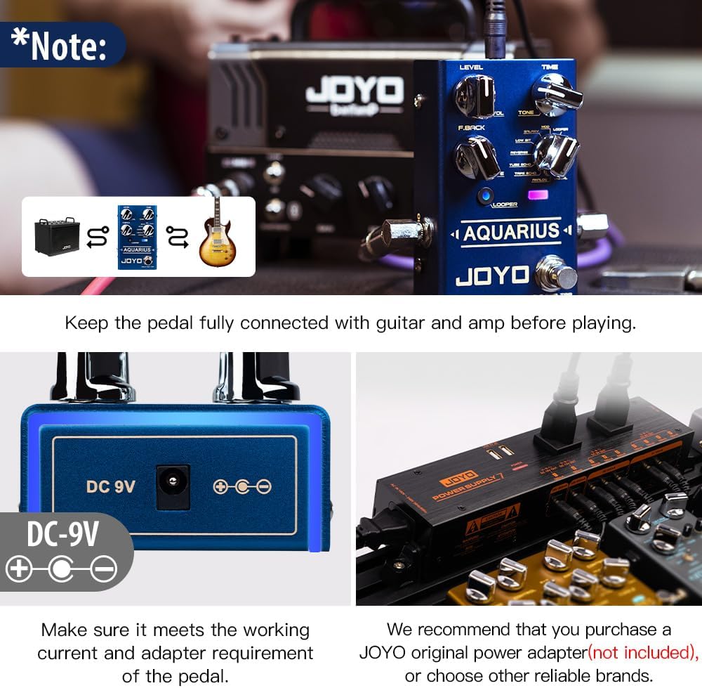 Multi Delay Pedal with Looper  - Looper Pedal Guitar recensie en prijs